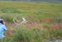 Arctic Cricle Fly / Drive Adventure